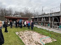 �����������